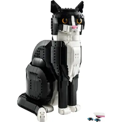 Produktbild Schwarz-weiße Katze